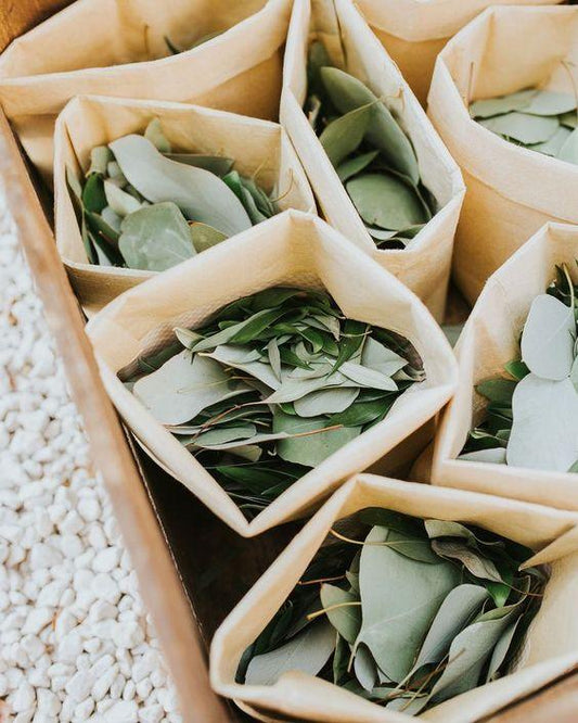 400 Pieces Eucalyptus Leaves Artificial Eucalyptus Petals Fake Leaves for DIY Wedding Bouquet