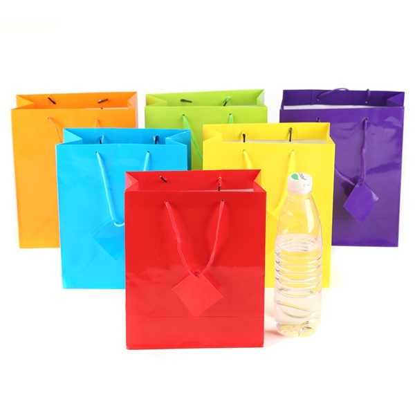 Neon Paper Gift Bags (24 per pack)