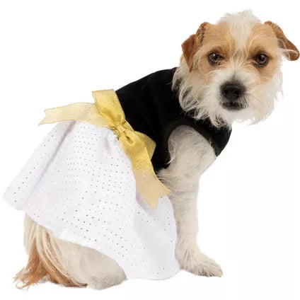 Black & Gold Sparkle Polka Dot Pet Dress