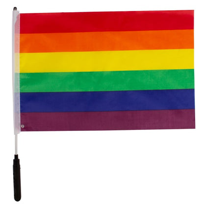 LED Rainbow Pride Flag