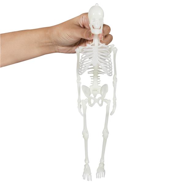 Glow Skeleton Bones