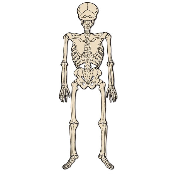 Vintage Jointed Skeleton (3 Per pack)