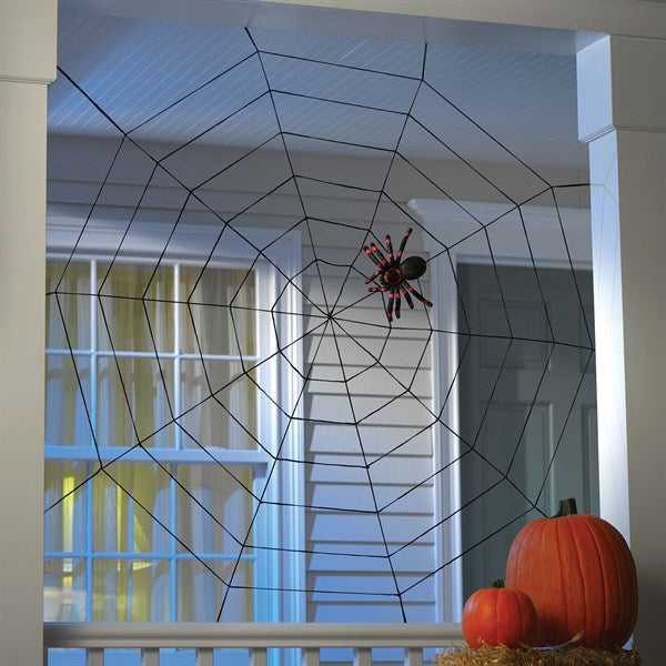 Giant Rope Spider Web